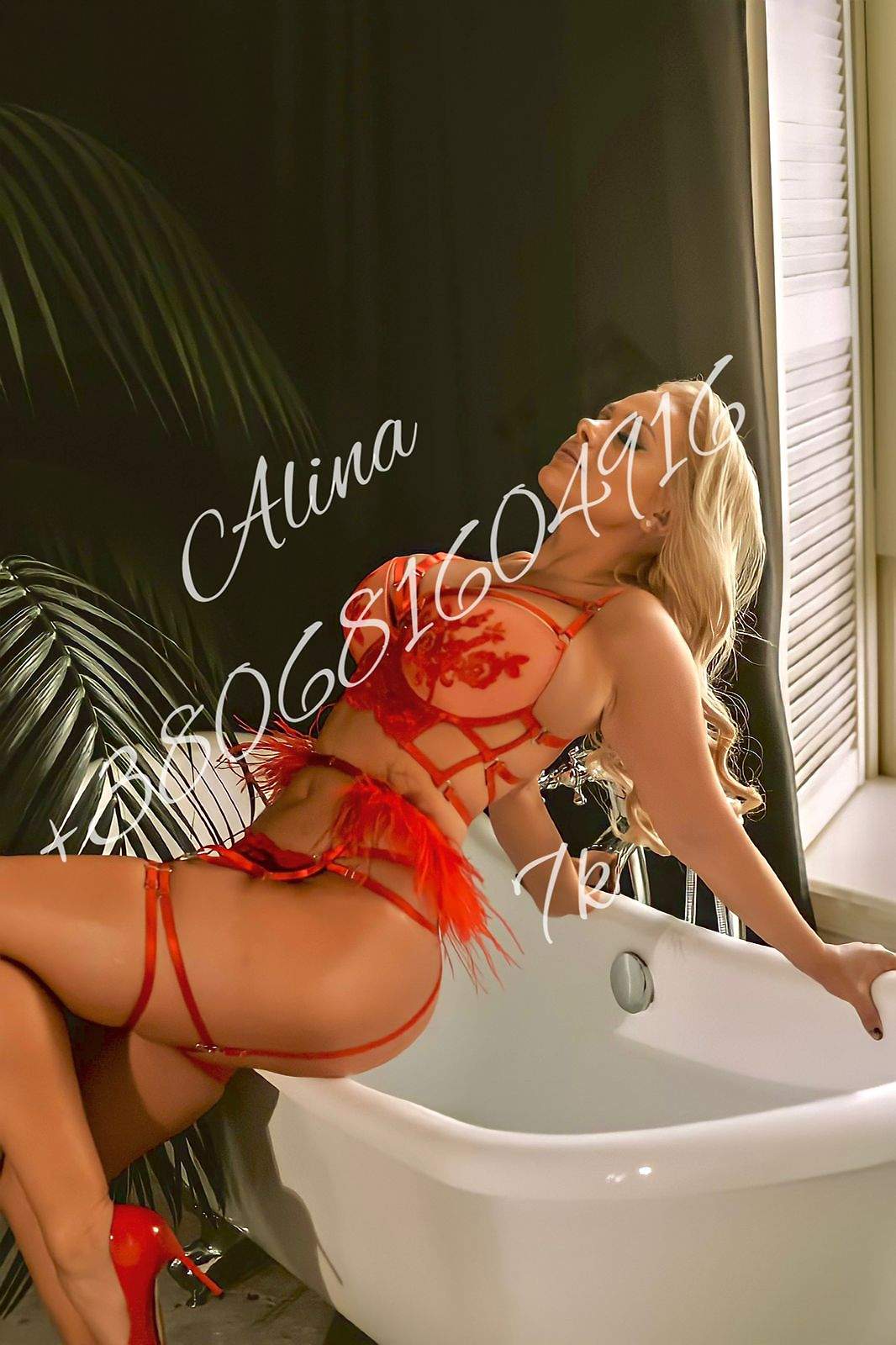 Проститутка Alina, фото 2, тел: 0681604916. City Center - Киев